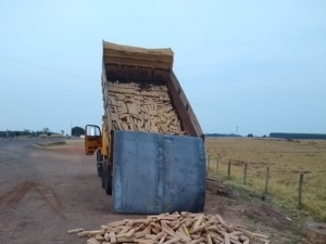 PRF apreende 1,9 tonelada de maconha em caminhão caçamba em Jaraguari (MS)