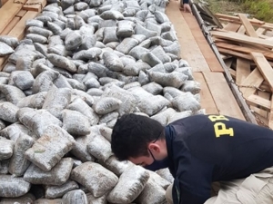 Em maior apreensão de skunk, PRF apreende 2,3 toneladas da droga, além 2,2 toneladas de maconha sob carga de madeira em Navirai (MS)